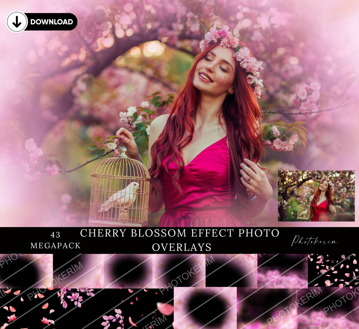 Cherry Blossom Overlays for Photoshop, Sakura Petal and Floral Blur PNGs, Soft Pink Spring Effect Overlay Pack for Portrait Photography