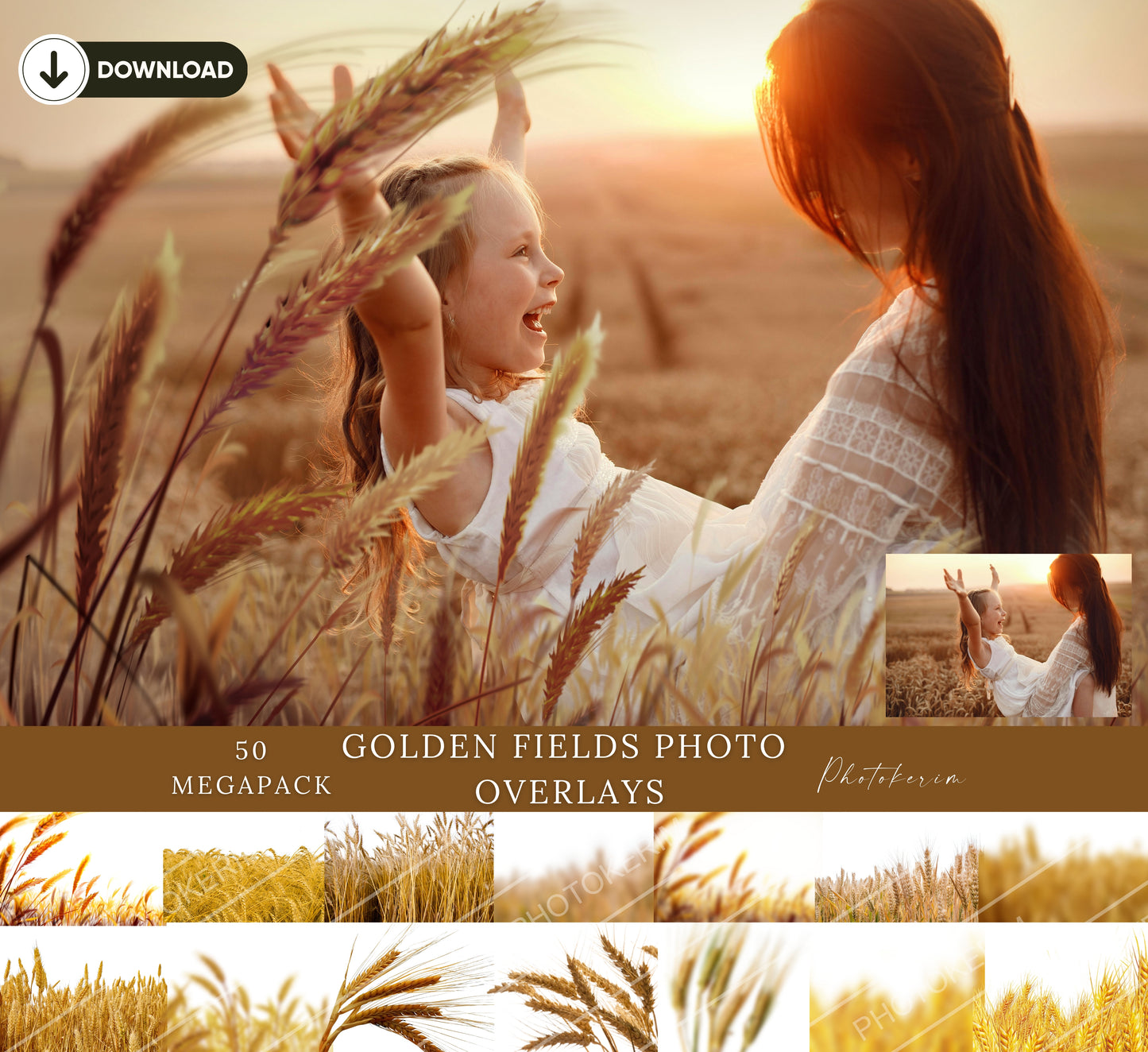 Golden Field Wheat Overlays for Photoshop, Cornfield PNG Photo Effects, Summer Grass Digital Backgrounds for Outdoor Portraits