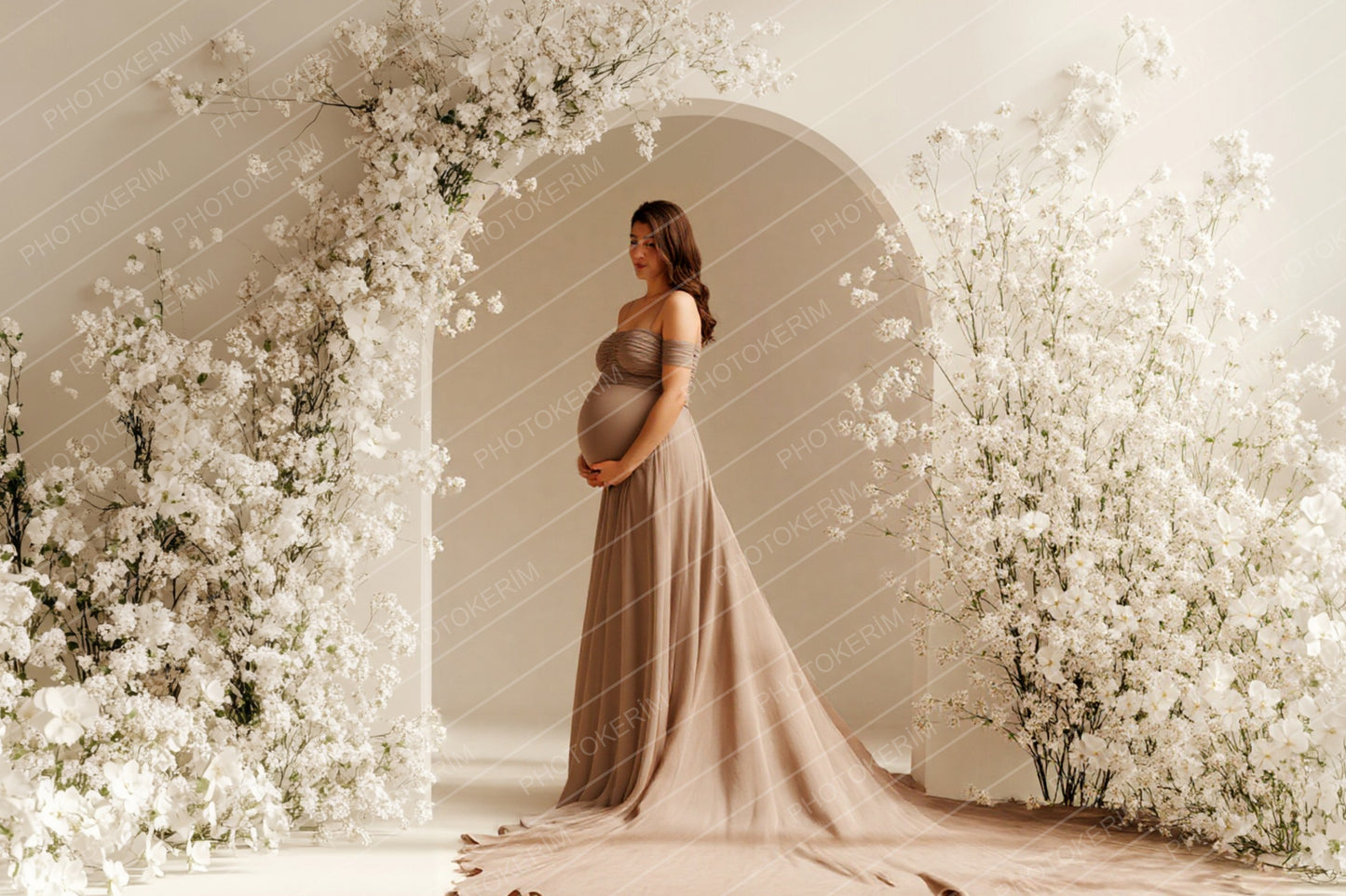 Modern Floral Arches Set Digital Backdrops, Maternity Backdrop Overlays, Studio Backdrop Overlays, Fine Art Textures, Photoshop Overlays