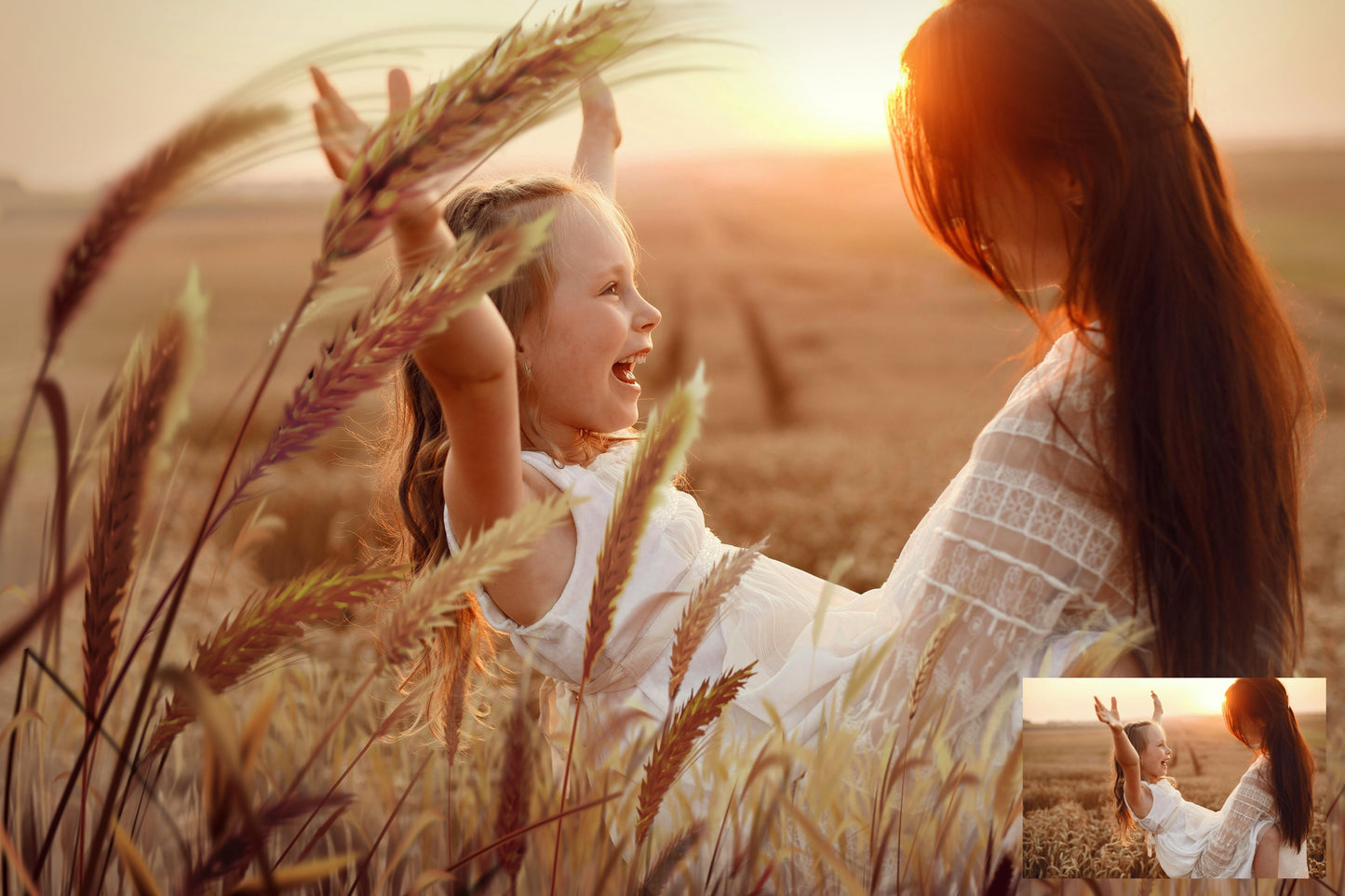 Golden Field Wheat Overlays for Photoshop, Cornfield PNG Photo Effects, Summer Grass Digital Backgrounds for Outdoor Portraits